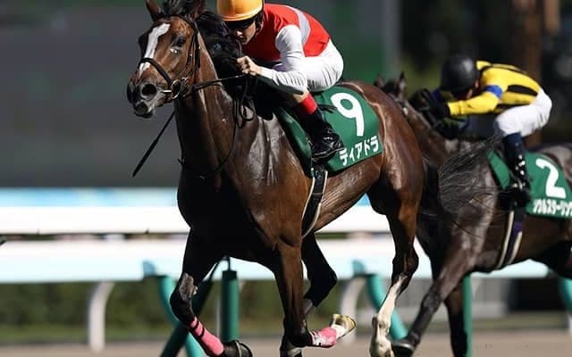 今週札幌で開催されるのはTVh賞？ TVh杯？ 北海道開催に多数存在する“冠レース”