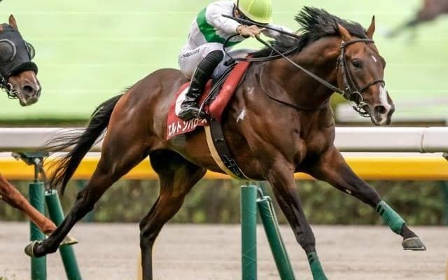 【中京記念予想オッズ】エルトンバローズが予想1番人気