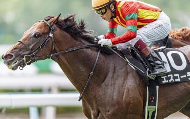 3戦3勝の小倉で素質開花なるか サリオス、サラキアの弟が中京記念で初タイトル狙う