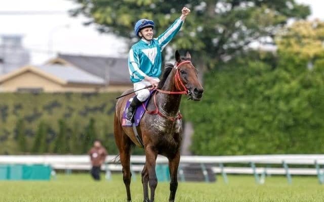 ロマンチックウォリアーが年度代表馬に 香港の2023/24年シーズン終わる