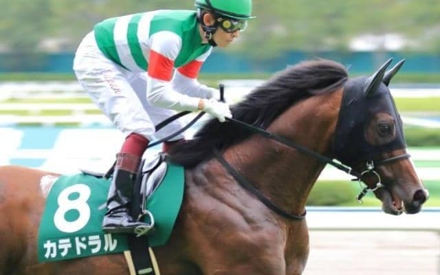 【中京記念予想】AI推奨馬は二桁人気濃厚か 小倉開催を味方につける注目の一頭とは