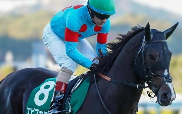 GIIIなら地力は上位か 小倉大賞典覇者が中京記念で重賞2勝目狙う