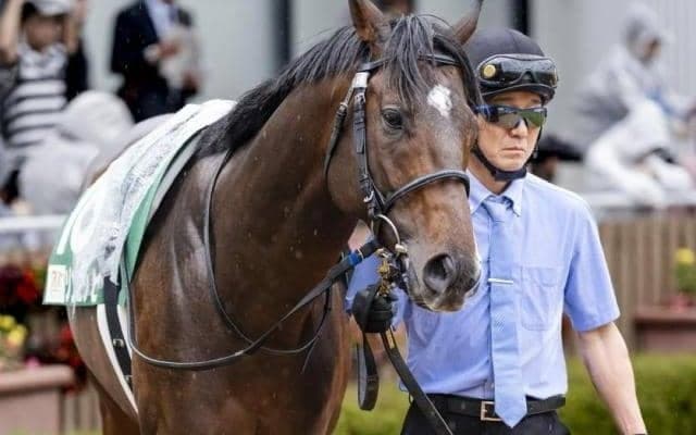武豊騎手がしらかばS初制覇へ ゾンニッヒとのタッグで今年こそ