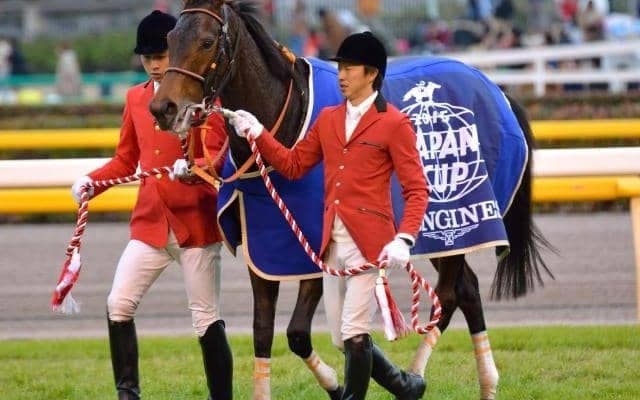 GI・2勝の母ショウナンパンドラに続く活躍へ 良血が初戦から魅せる