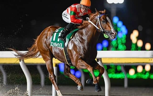 【船橋・習志野きらっとスプリント結果】エンテレケイアの6馬身差圧逃劇！重賞初勝利を挙げる