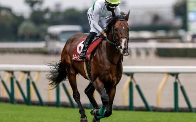 【中京記念枠順確定】エルトンバローズは5枠7番、セオは7枠12番