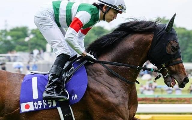 小倉1800mに強い騎手や産駒は? 中京記念の舞台の特徴おさらい