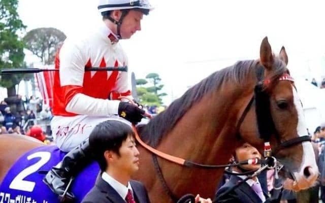 ジャパンCなどGI・2勝馬の姪が日曜小倉で初陣 1200m戦への対応がカギ