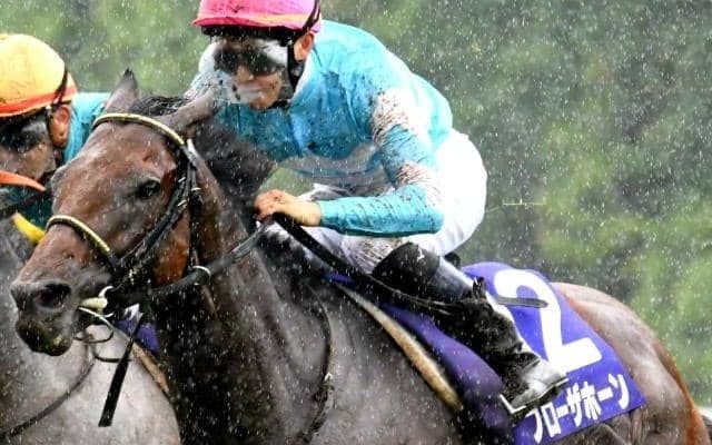 宝塚記念覇者ブローザホーンの半妹が待望の初陣 遅咲きの一族から再び大物誕生となるか