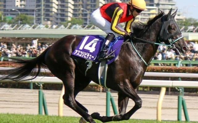 2歳女王アスコリピチェーノの「いとこ」が初陣 土曜福島5Rでデビュー勝ち狙う