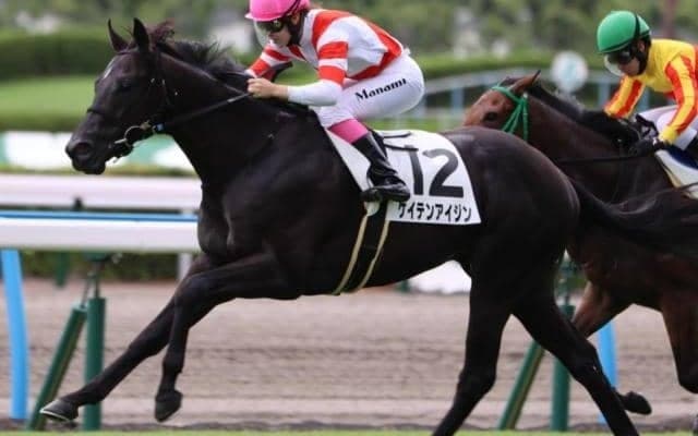 “チーム・ヨカヨカ”が再び九州産馬の頂点へ 「敬天愛人」を胸にひまわり賞から快進撃を目指す