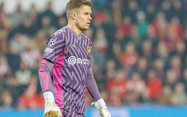 ドルトムントの頼れるセカンドGKマイヤーが新契約にサイン！　昨季はブンデス8試合に出場