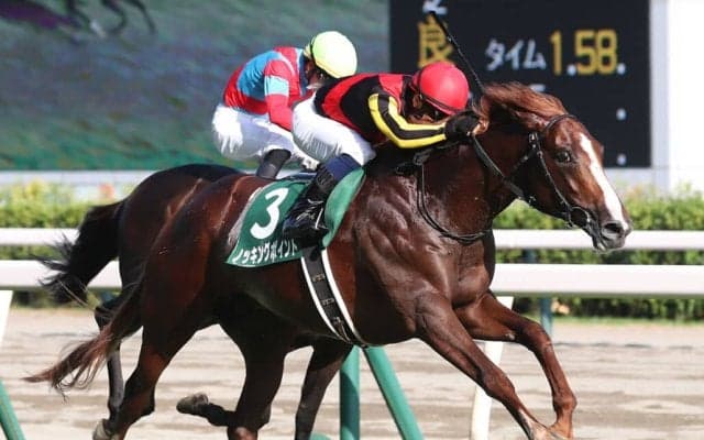 ノッキングポイントの競走馬登録抹消…母はチェッキーノ