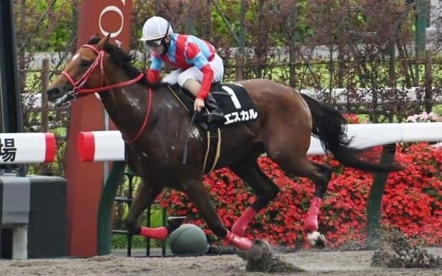 【今日の注目ポイント】各場で3勝クラスがメイン 新馬戦でタッチングスピーチの仔などがデビュー