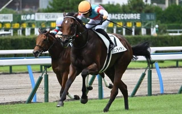 【小倉5R新馬戦結果】レイデオロ産駒ジュンライデンが好位から抜け出しV