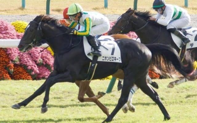 【中京記念前日オッズ】ニホンピロキーフが2.5倍で1番人気