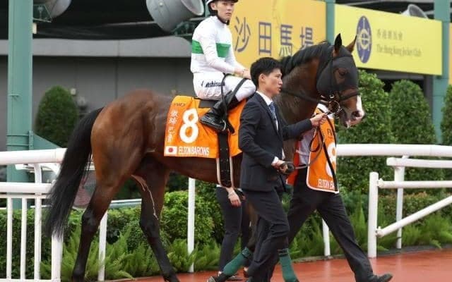 【AI予想・中京記念】今夏の小倉芝1800mは人気馬が中心!? 本命はGIIIメンバーに入ればはっきりと格上と言える実績馬