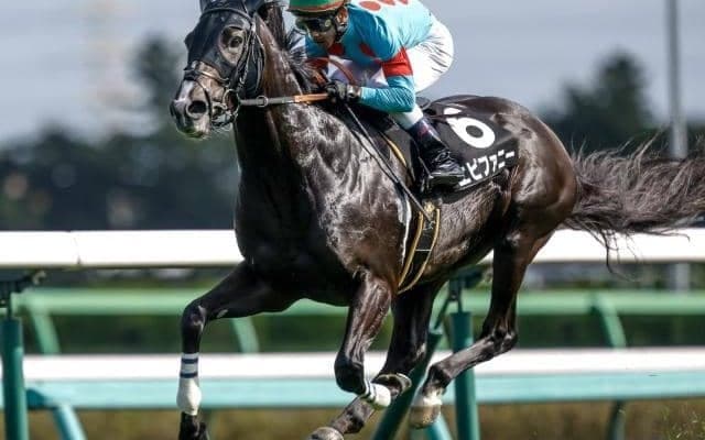 【今日の注目ポイント】小倉で中京記念と小牧太騎手JRA所属ラスト騎乗