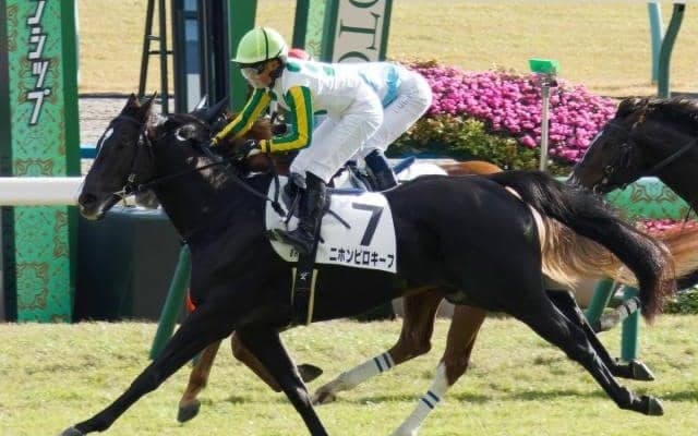【中京記念予想】2年ぶりに小倉芝1800mが舞台 小回りゆえ逃げ先行馬が中心か