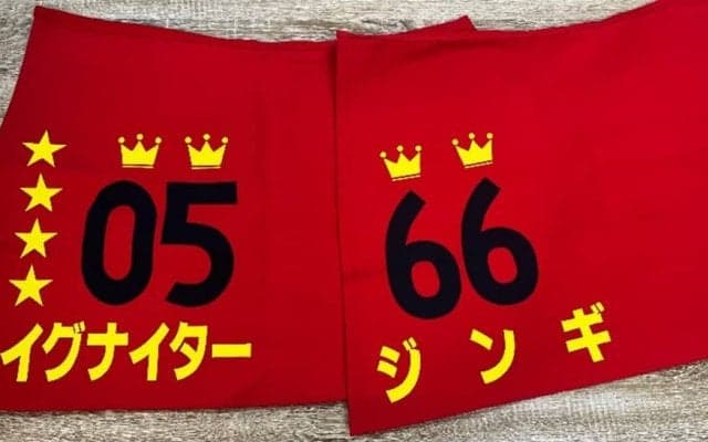 【園田・姫路競馬】特別調教ゼッケンの導入…イグナイターなど