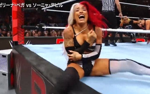 「曲がっちゃいけない方向に…」女子レスラー、戦慄の“極め技”に解説絶句 会場に悲鳴も