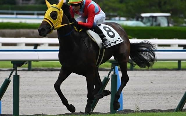 【小倉5R新馬戦結果】モズアスコット産駒ブルーレースが3馬身半差で完勝