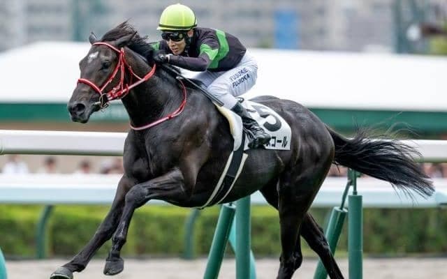 【札幌5R新馬戦結果】ドゥラメンテ産駒キングスコールがレコードV