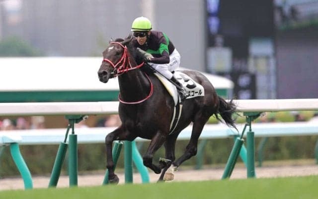 【新馬/札幌5R】ドゥラメンテ産駒 キングスコールがデビュー戦を快勝