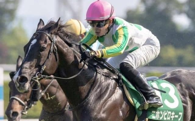 【中京記念・馬体重】ニホンピロキーフは474kg(-6)、エピファニーは502kg(+4)