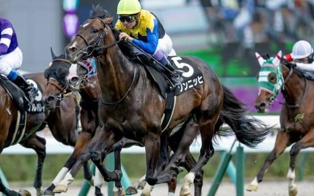 【しらかばS結果】武豊騎手騎乗のゾンニッヒが直線一気V！