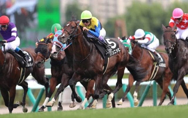 【しらかばS】武豊ゾンニッヒの直線一気が炸裂