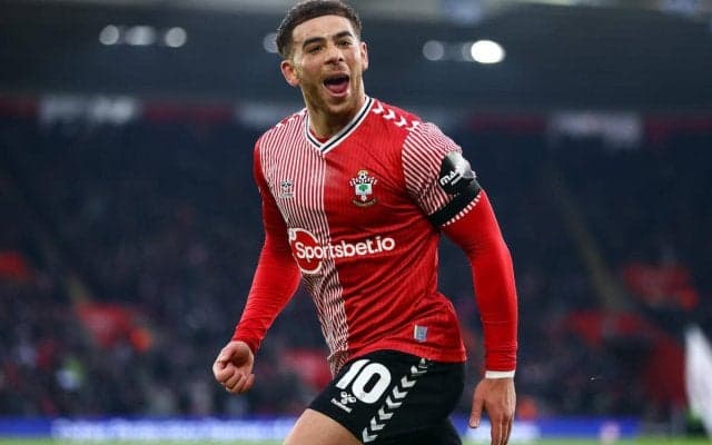 トリノ、セインツ退団のスコットランド代表FWアダムス獲得か