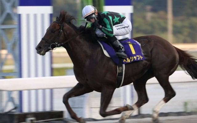 【高知・トレノ賞】ヘルシャフトが4馬身差で快勝…吉原「暑さに強い馬ではないと聞いていた」