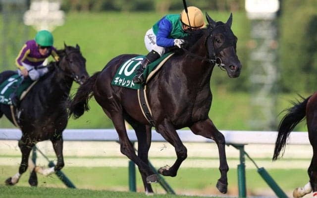 【盛岡・いしがきマイラーズ】1番人気ギャレットが重賞2勝目…山本「今日もダッシュつかなかった」