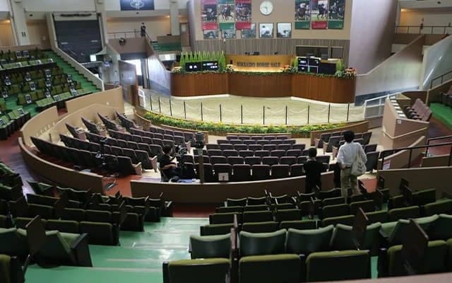 セレクションセールの見どころは？ 初日の“プレミアムセッション”はより厳選された馬が上場