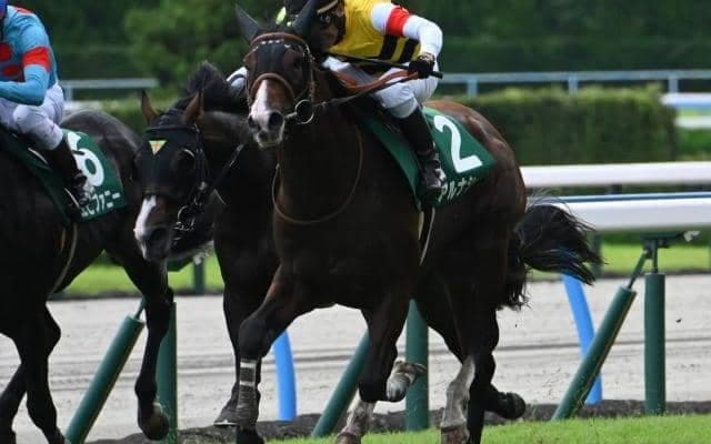 連対率20％超える「モーリス×ディープ」 ニックス配合と母系が持つポテンシャルが開花したアルナシーム