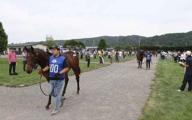 【セレクションセール2024】初日は総額32億円超え JpnI馬テオレーマの半弟が1億円で落札