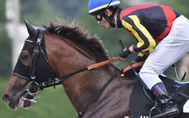 棋士の藤井聡太七冠とは同郷で同学年 4年目期待の若手がアイビスSDでJRA重賞初制覇に挑む