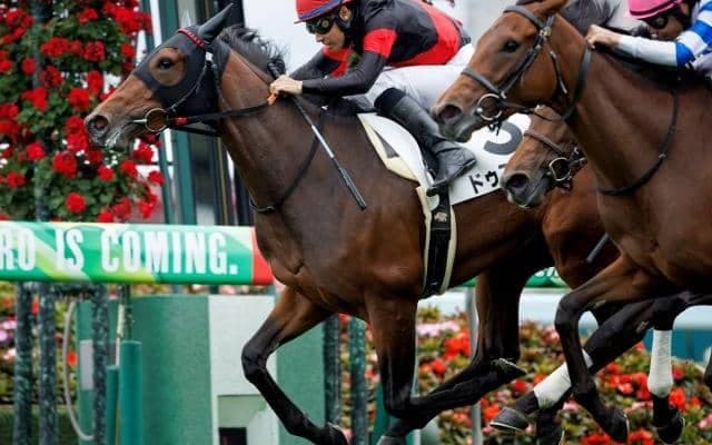 【クイーンS予想オッズ】ドゥアイズが予想1番人気