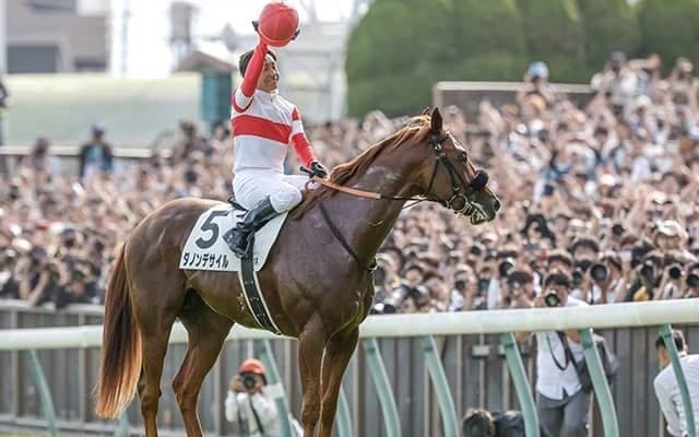 ファン1700人が選んだ24年上半期“神騎乗”！ 栄えある1位は大ベテランの「完璧な騎乗」