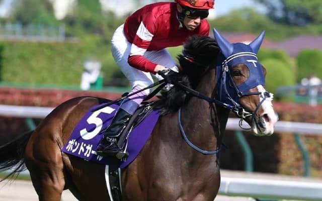 武豊騎手が14年ぶりのクイーンS制覇なるか ウマ娘・藤田晋オーナーの愛馬と参戦