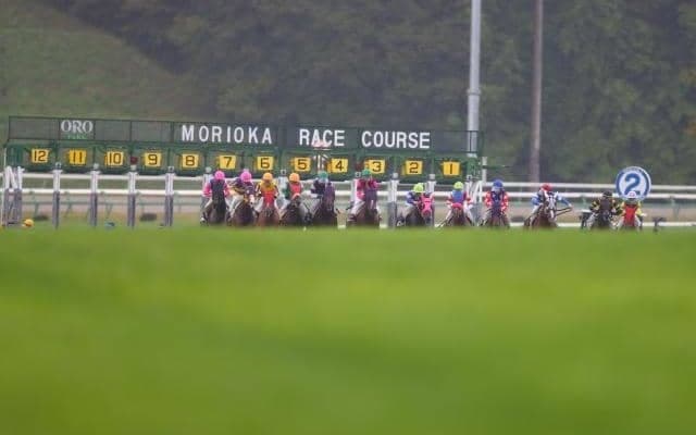 第5回盛岡競馬の芝レースをすべてダートに変更 重賞3競走にも影響