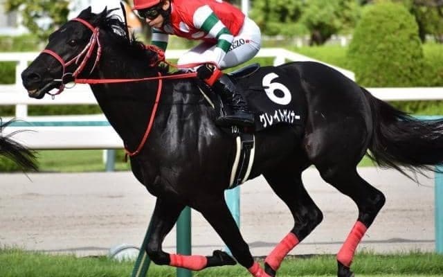 意外にもJRAでは未勝利 TCK史上最速2000勝達成のトップジョッキーがアイビスSDで一気にJRA重賞初制覇へ