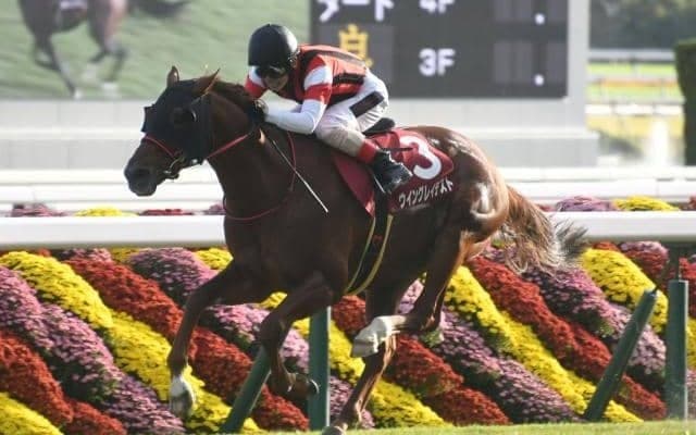 【アイビスSD予想】AIの推奨は近走勢いに乗る実績馬 取捨を悩ます未知数のコース適性が妙味生む？