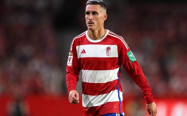 レアルやナポリでプレーした元スペイン代表FWカジェホンがスペイン3部のマルベージャに完全移籍