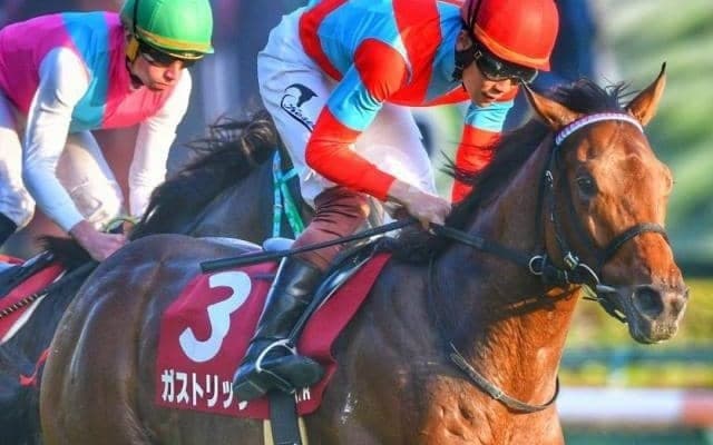22年東スポ杯2歳S覇者 関越Sで1年7カ月ぶりの復帰戦だ