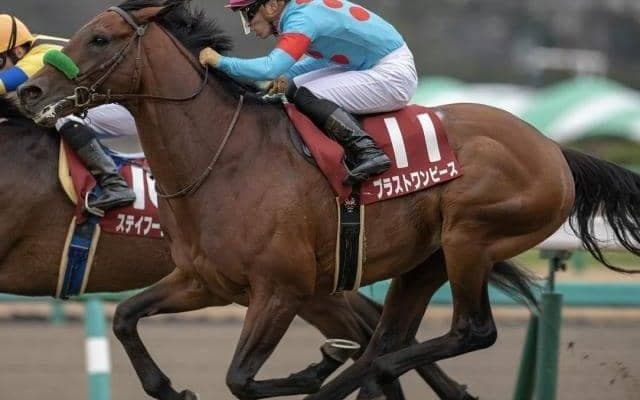 有馬記念覇者の半妹が初陣 鞍上にC.ルメール騎手を迎え期待十分