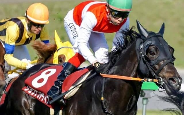 5億円馬がSTV賞で待望のオープン入りへ 好調の勢いそのままに白星狙う