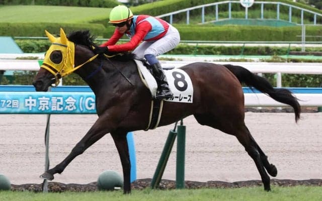 【新馬/小倉5R】モズアスコット産駒 ブルーレースが完勝