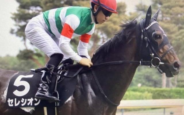 新潟外回りは決め手重視 コース巧者のセレシオンが決める